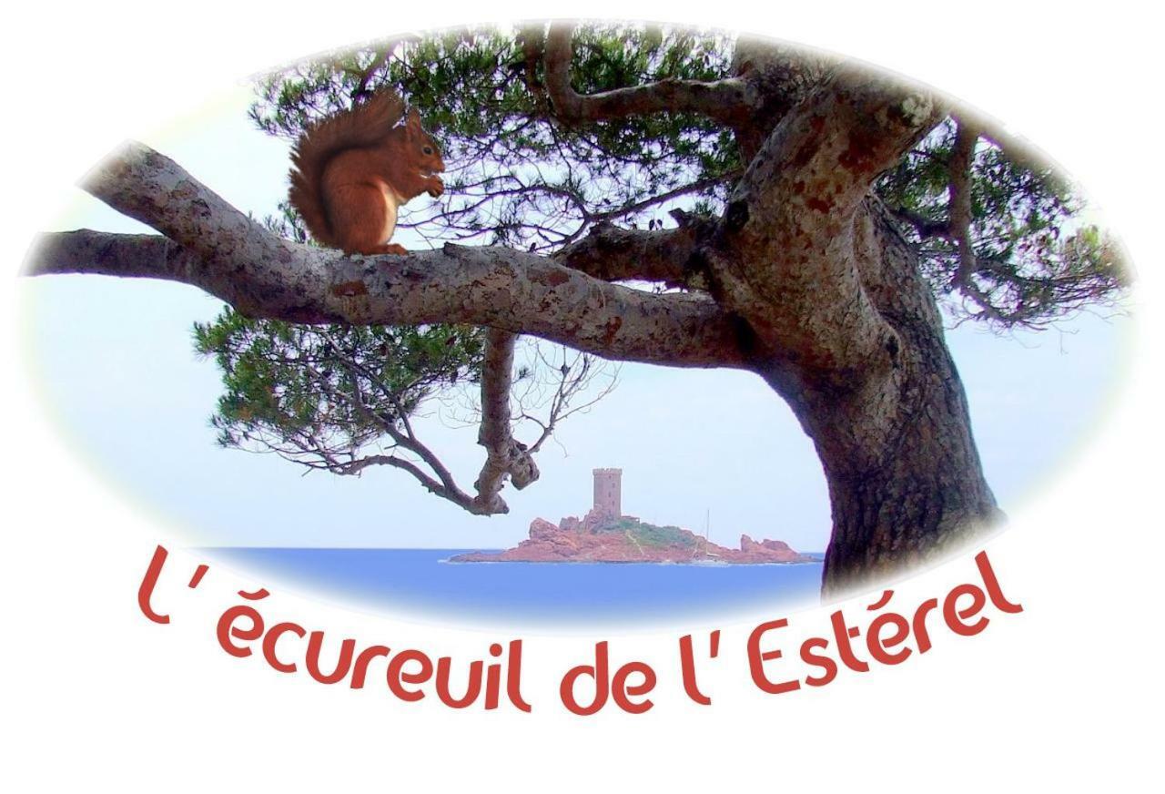 L'Ecureuil de l'Estérel Saint-Raphaël Extérieur photo