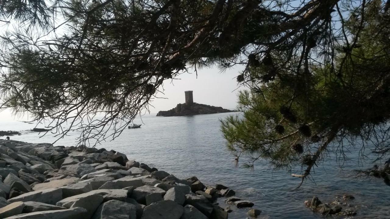 L'Ecureuil de l'Estérel Saint-Raphaël Extérieur photo